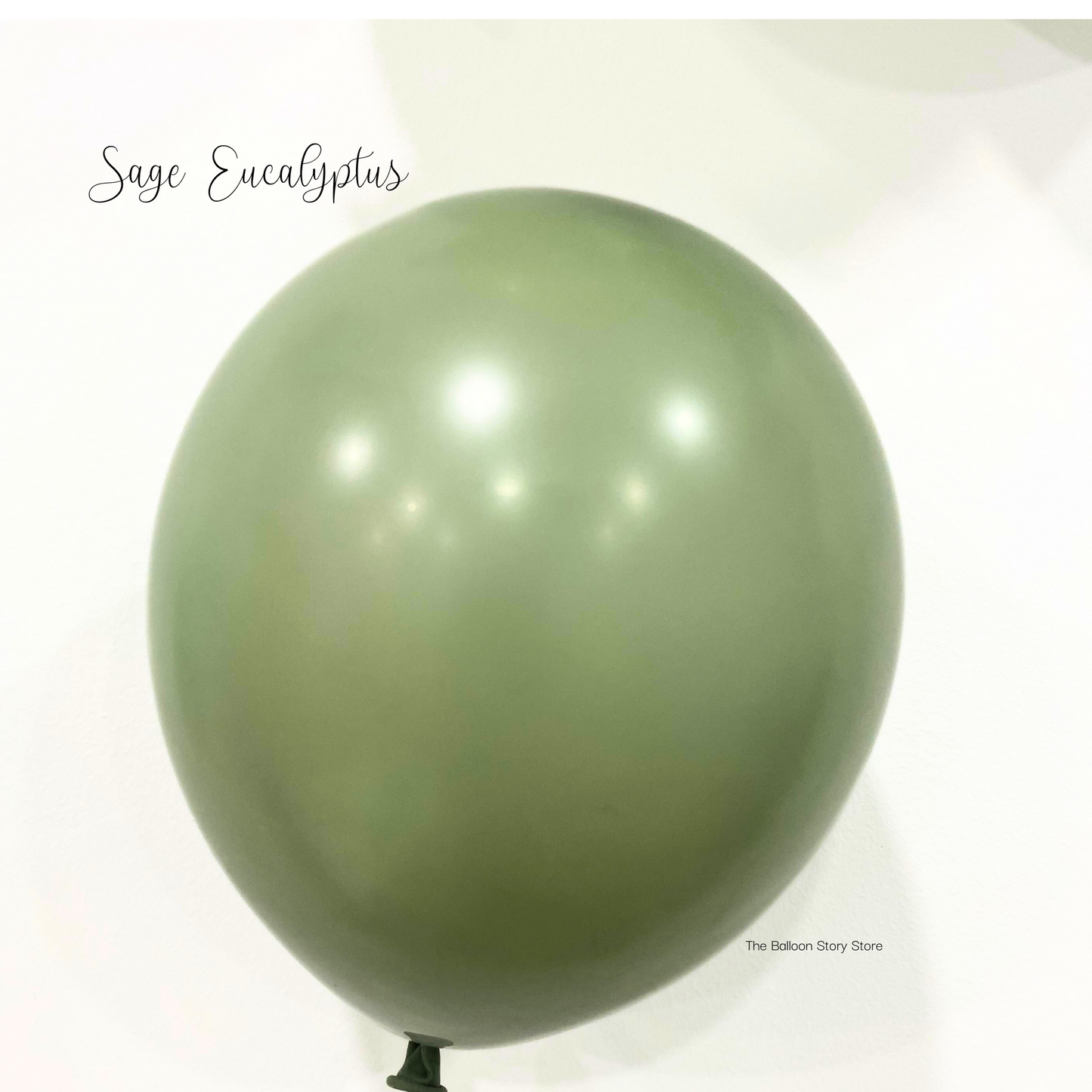 Eucalyptus/Sage  Matte Latex Balloon