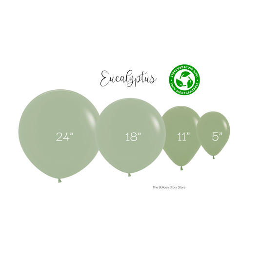 Eucalyptus/Sage  Matte Latex Balloon
